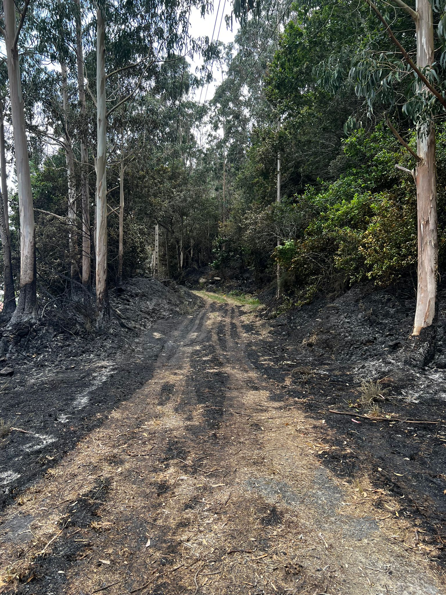 Naturgy desbrozando a franxa de alta tension que provocou o incendio do Couto restos