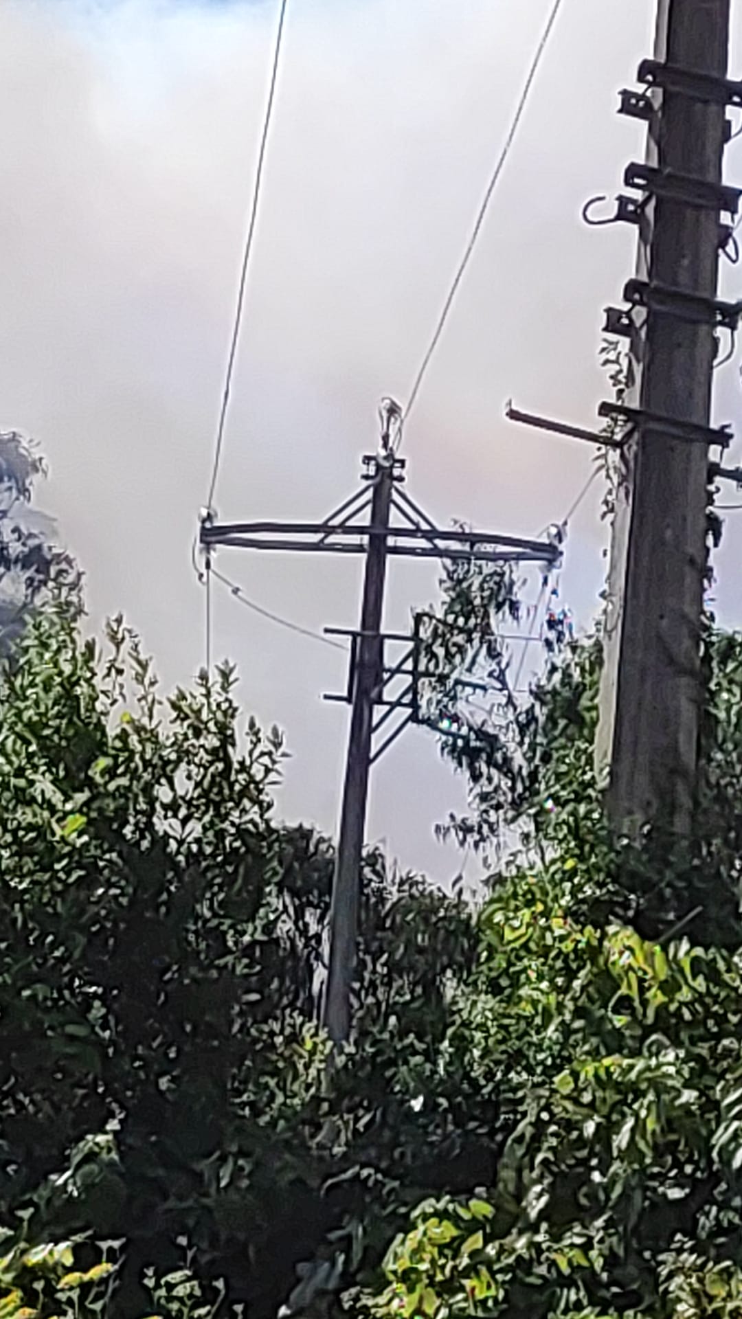 Incendio o Couto franxa liña alta tension