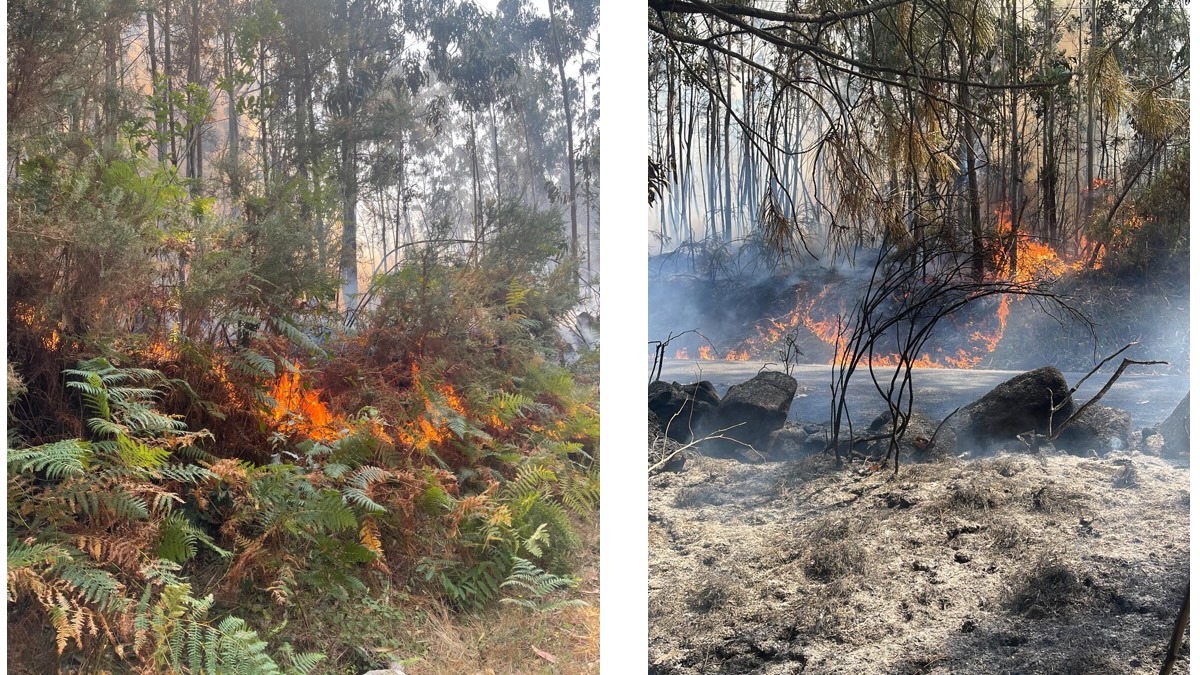 Incendio Xavina-Camarinas 2