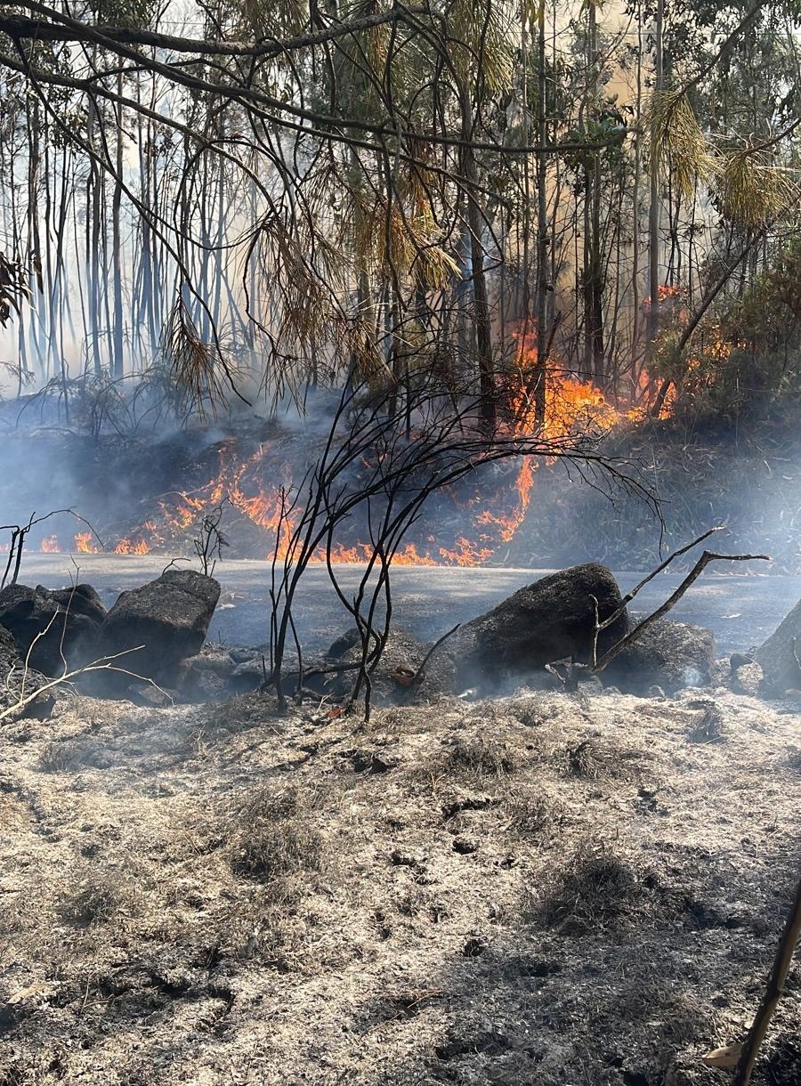 Imaxe do incendio de Xavina