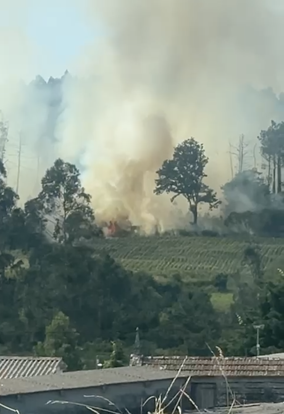 incendio en Dumbria 2