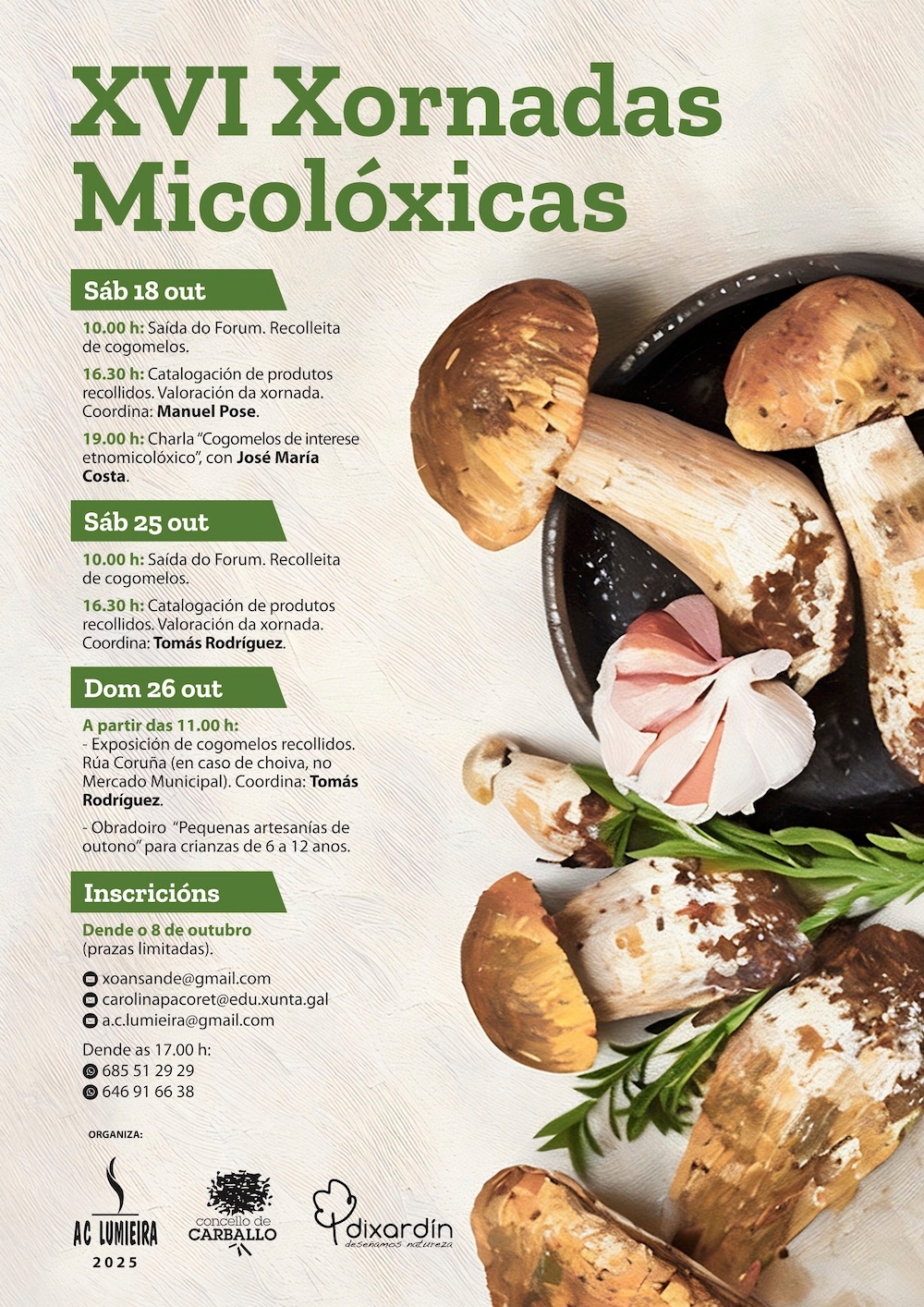 XVI Xornadas Micolóxicas Lumieira -Carballo 2025 copia
