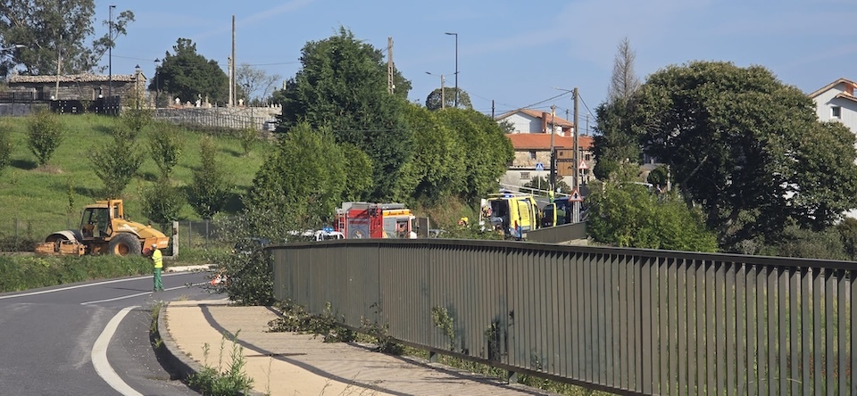 Atropelo na Pereirina