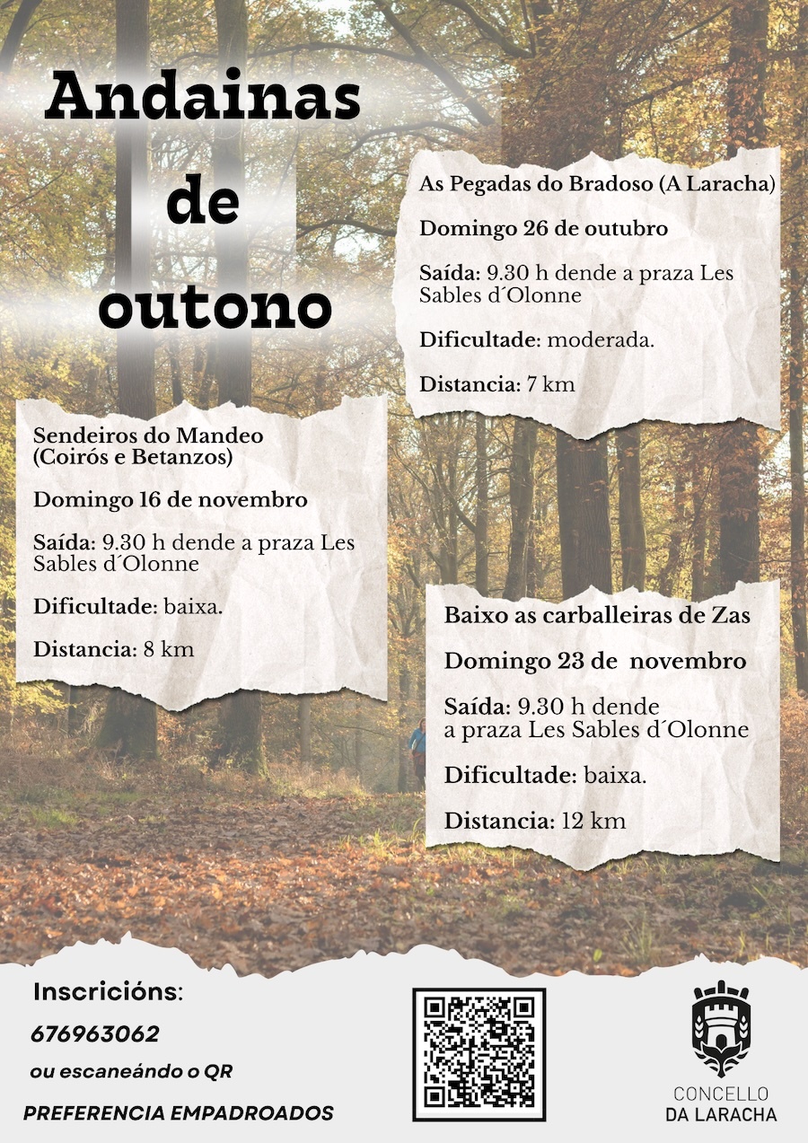 Andainas de outono copia