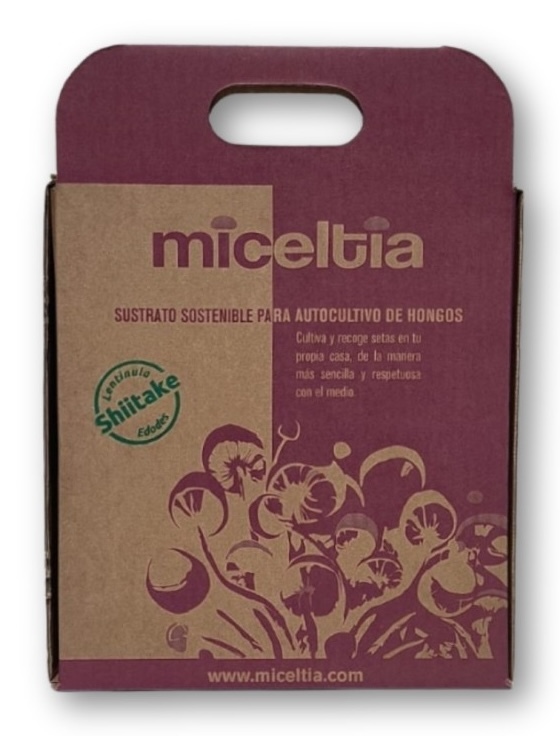 Miceltia kit autocultivo