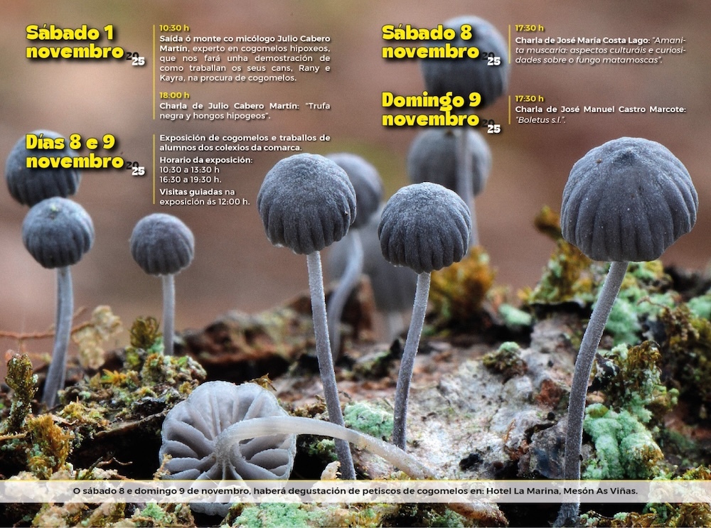 Programa Xornadas Micoloxicas Pan de Raposo Cee 2025