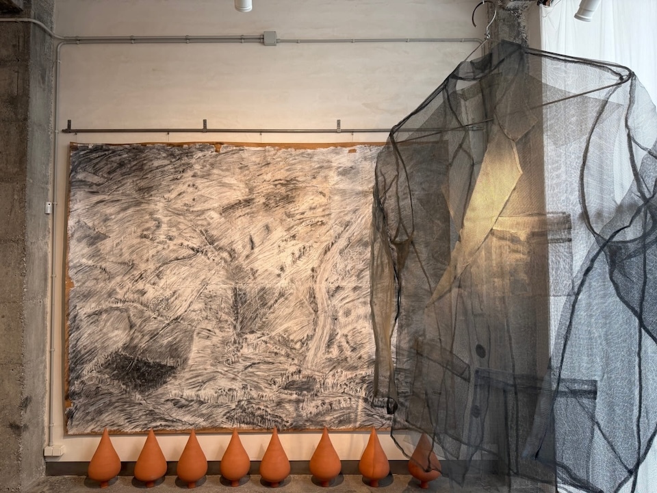 Alvaro de la Vega na Galeria Manolo Eirin 3