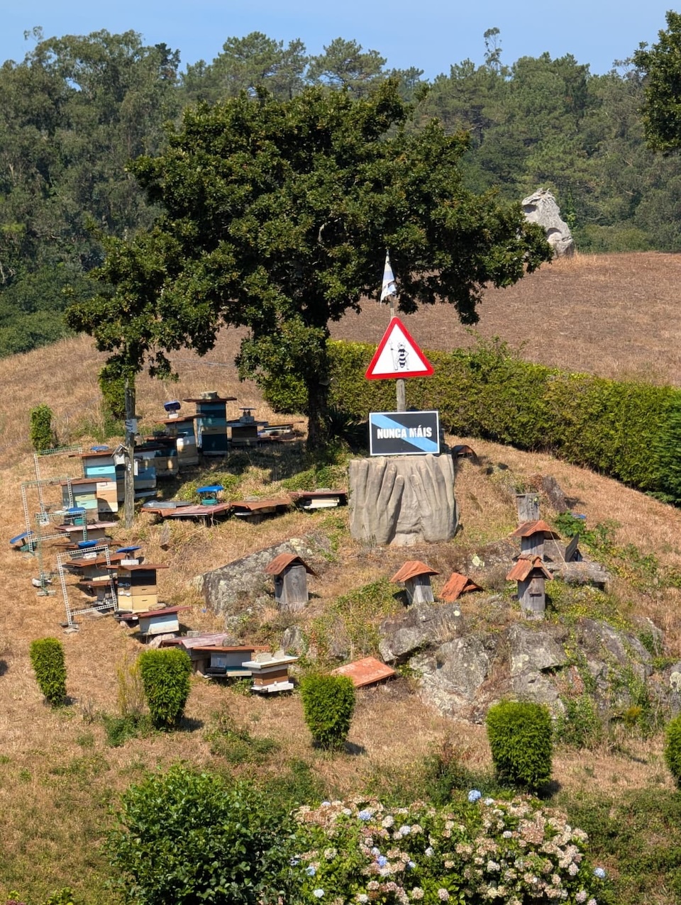 O Panal de Sendon de Tino Gandara