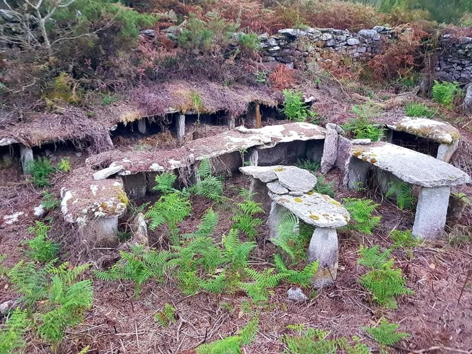 Alvariza de Ogas en 2021