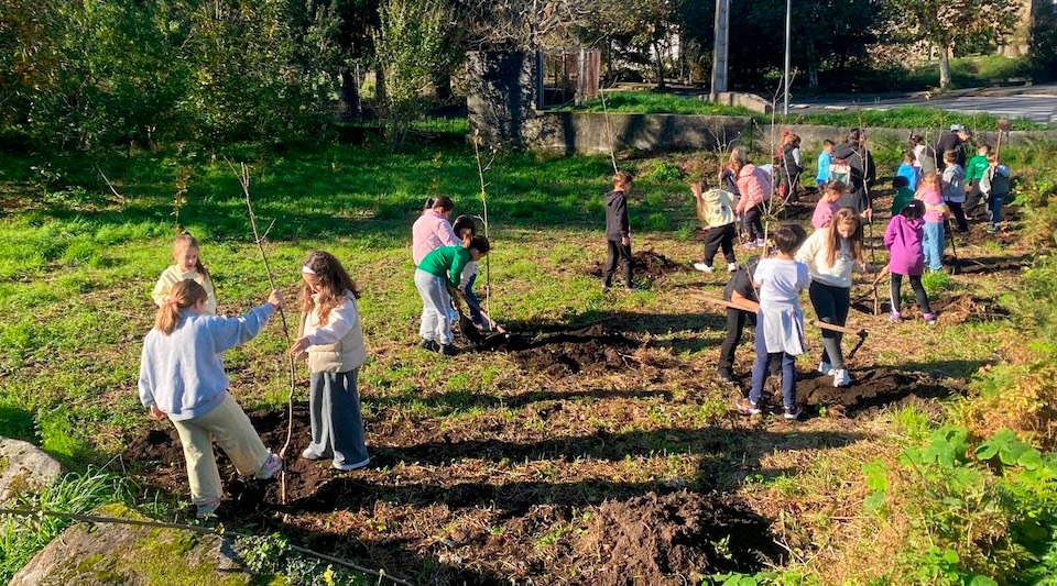 Nenas de Muros plantando Maceira no Camino copia
