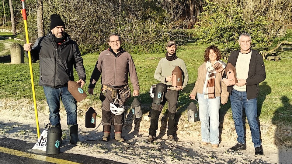 Instalando ninos de morcego en balares