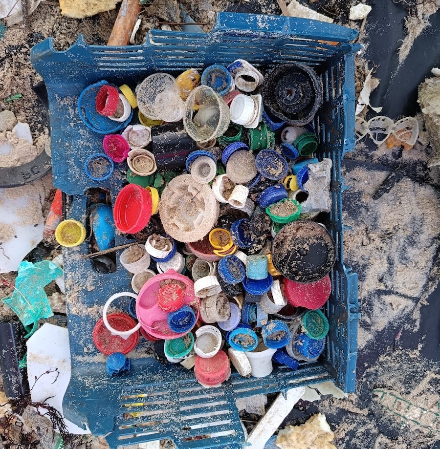 limpeza de mar de fabula en laxe