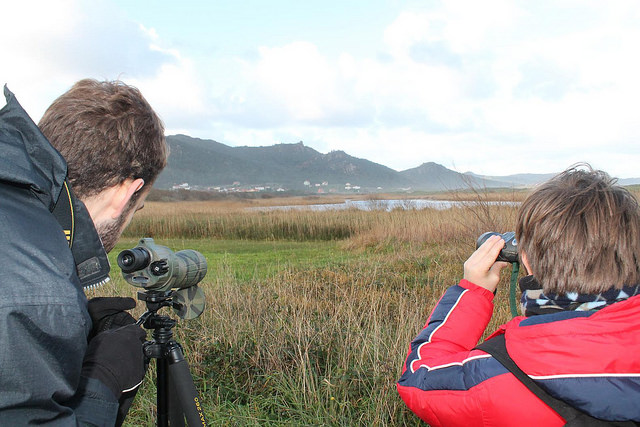 ornitoloxia en Traba con Senda Nova