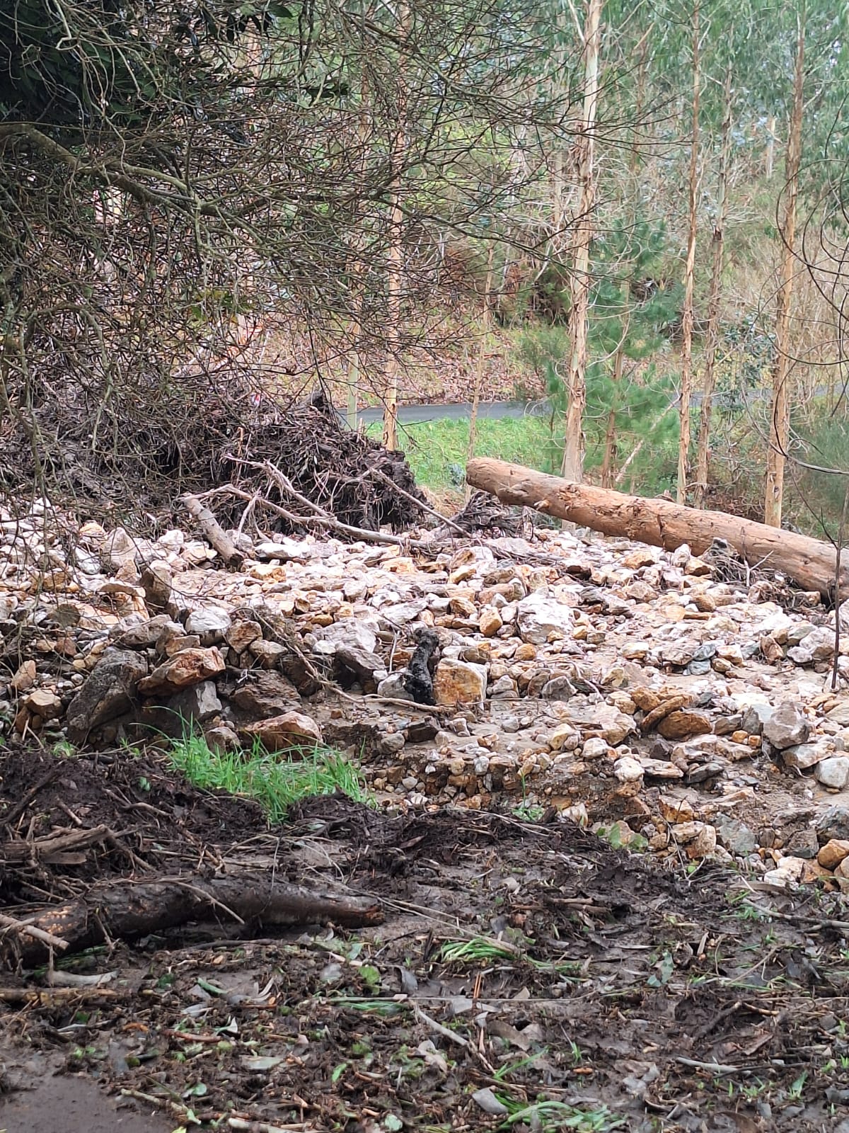 Consecuencias Mina Monte Neme
