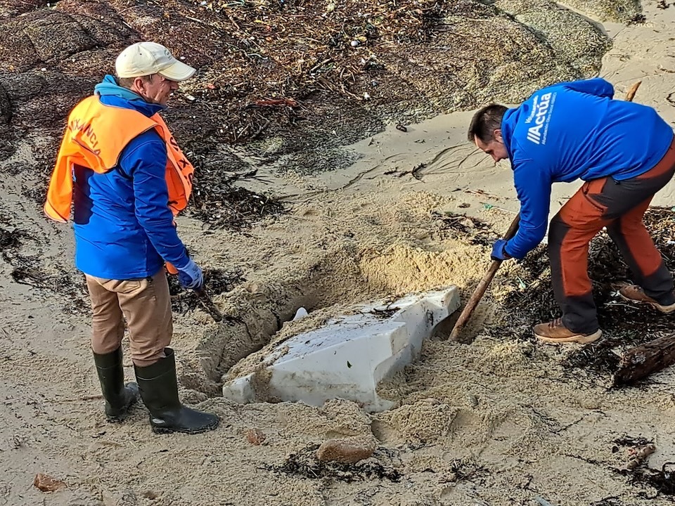 LImpeza Placton en Muros