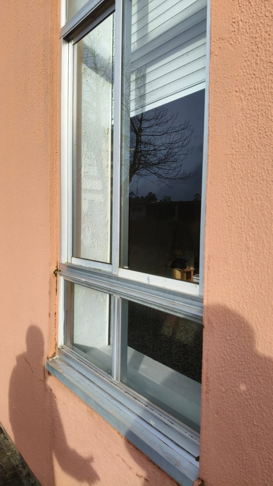 FIESTRAS Cole de Zas