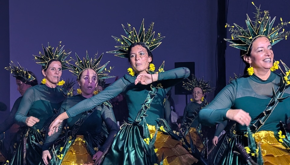 Entroido Fisterra 2026-Mocatriz 1 copia