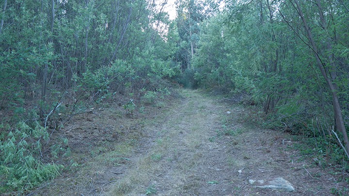 Estrada Prevencion incendios Corcubion