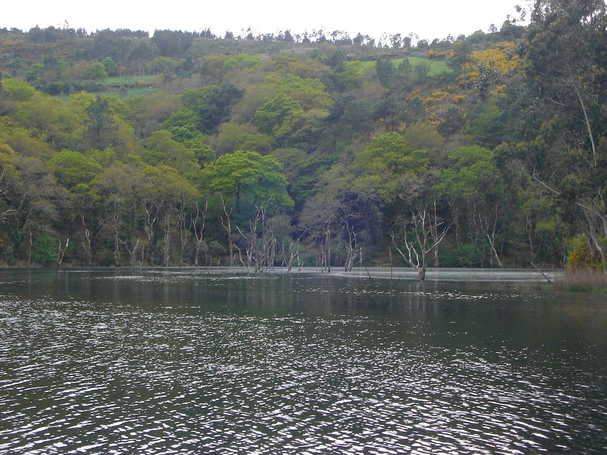 Devesa de Anllares-Pozo Negro