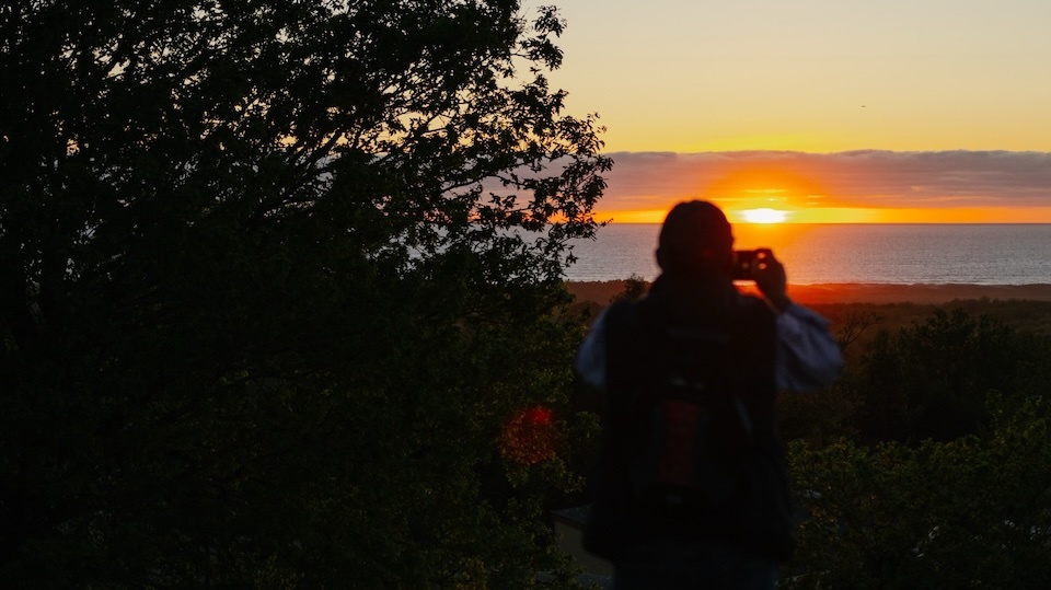 Mostra Vindemo Ver Carnota 2026-Solpor