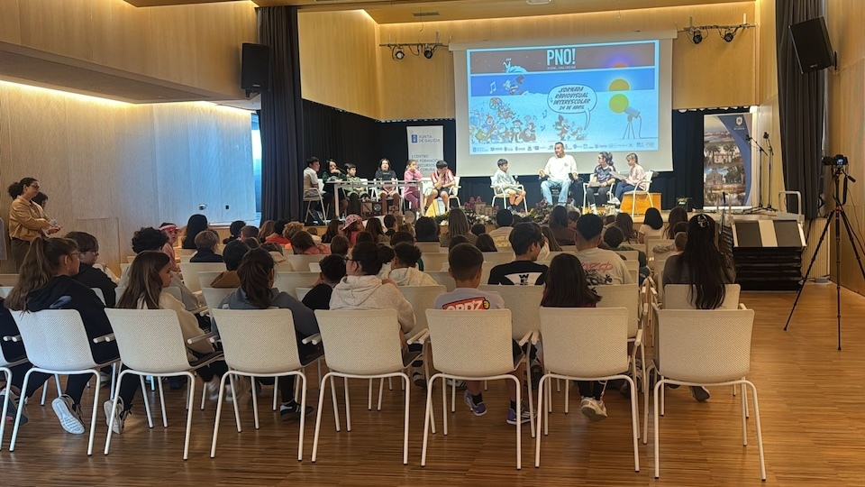 Ponte nas Ondas en Caion 2