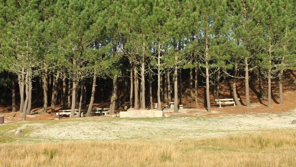 Recunchos da Costa-Praia da Ermida-Foto-CaminodosFaros-merendeiro pinos