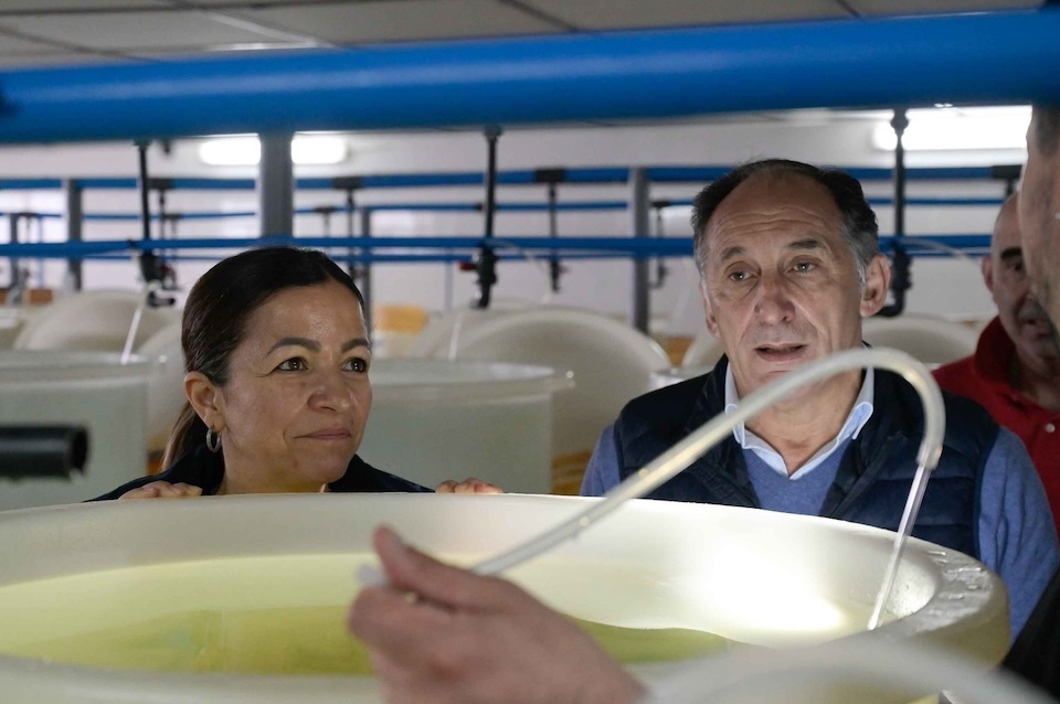 Conselleira en A Ostreiera-Malpica