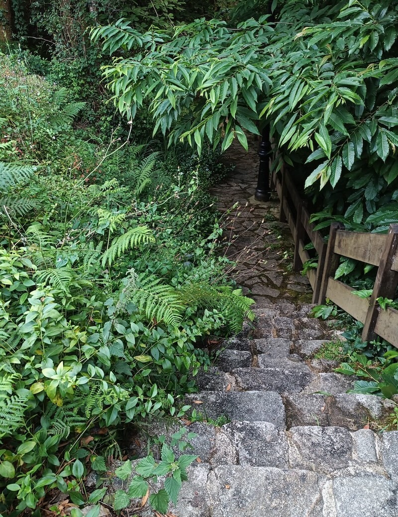 Abandono dos Muinos de Toba