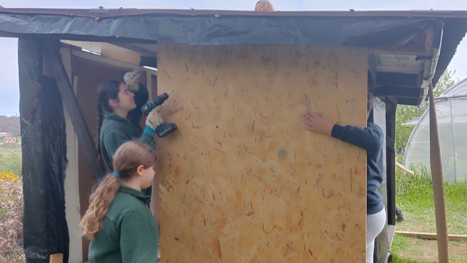 Construíndo un galiñeiro