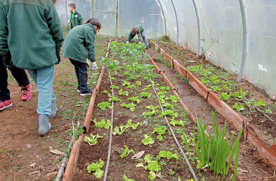 Escola Ambiental de Senda Nova 10